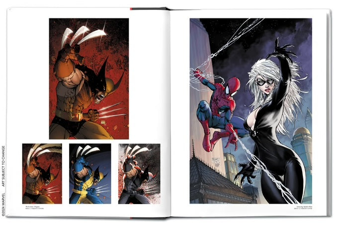 The Marvel Art of Michael Turner Dustjacket Edition (LIMITED!)