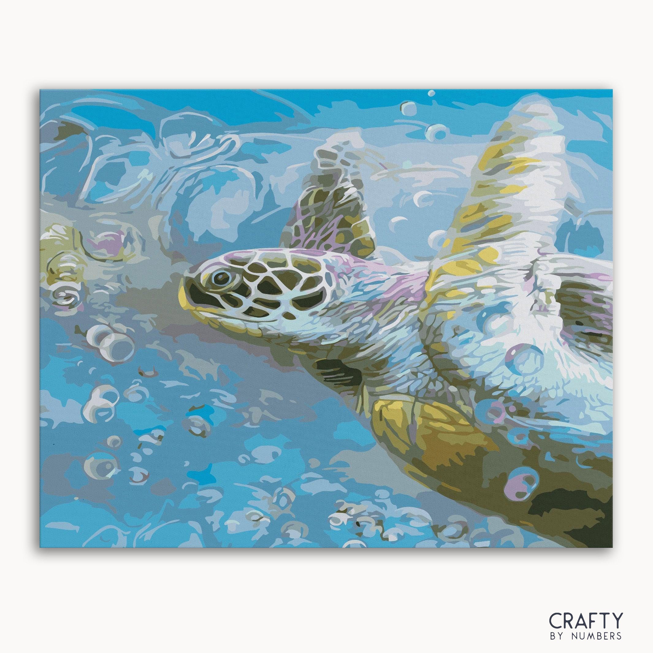 Turtle Hawksbill Sea
