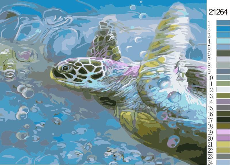 Turtle Hawksbill Sea
