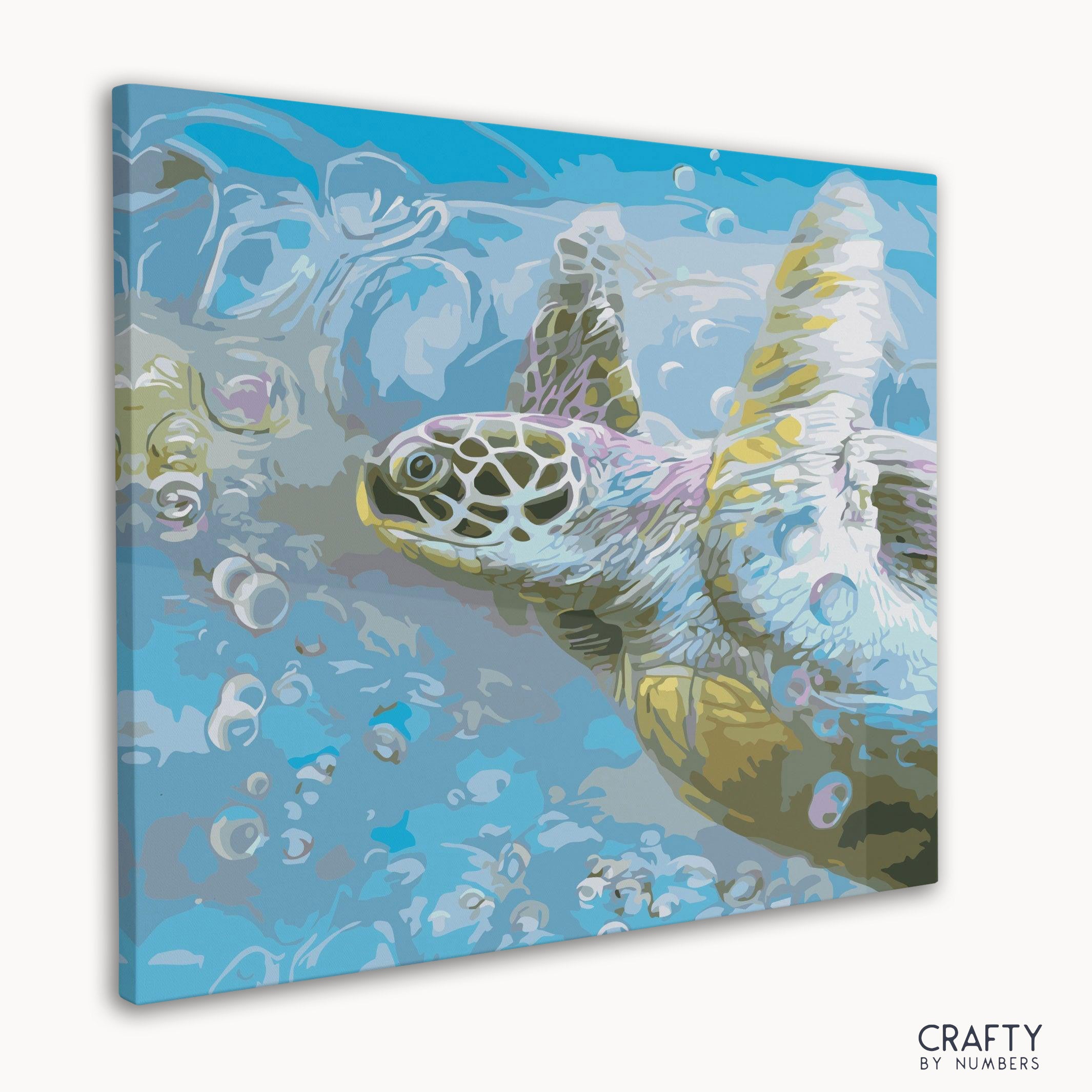 Turtle Hawksbill Sea