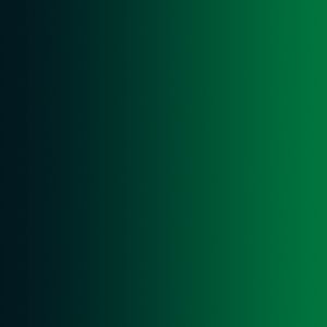 Vallejo 72482 18ml Bottle Monastic Green Xpress Color Intense (6/Bx)