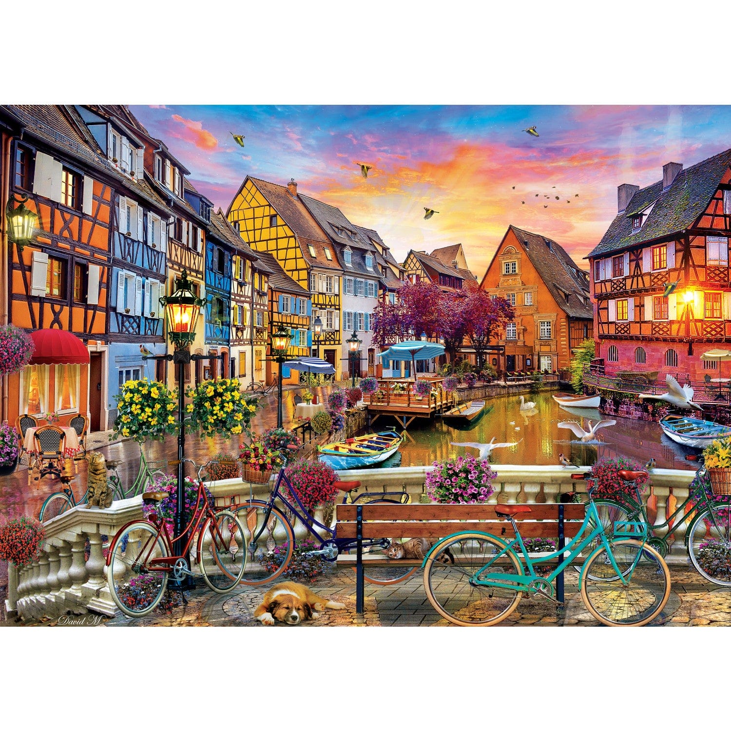 Cycling at Colmar 500 pc