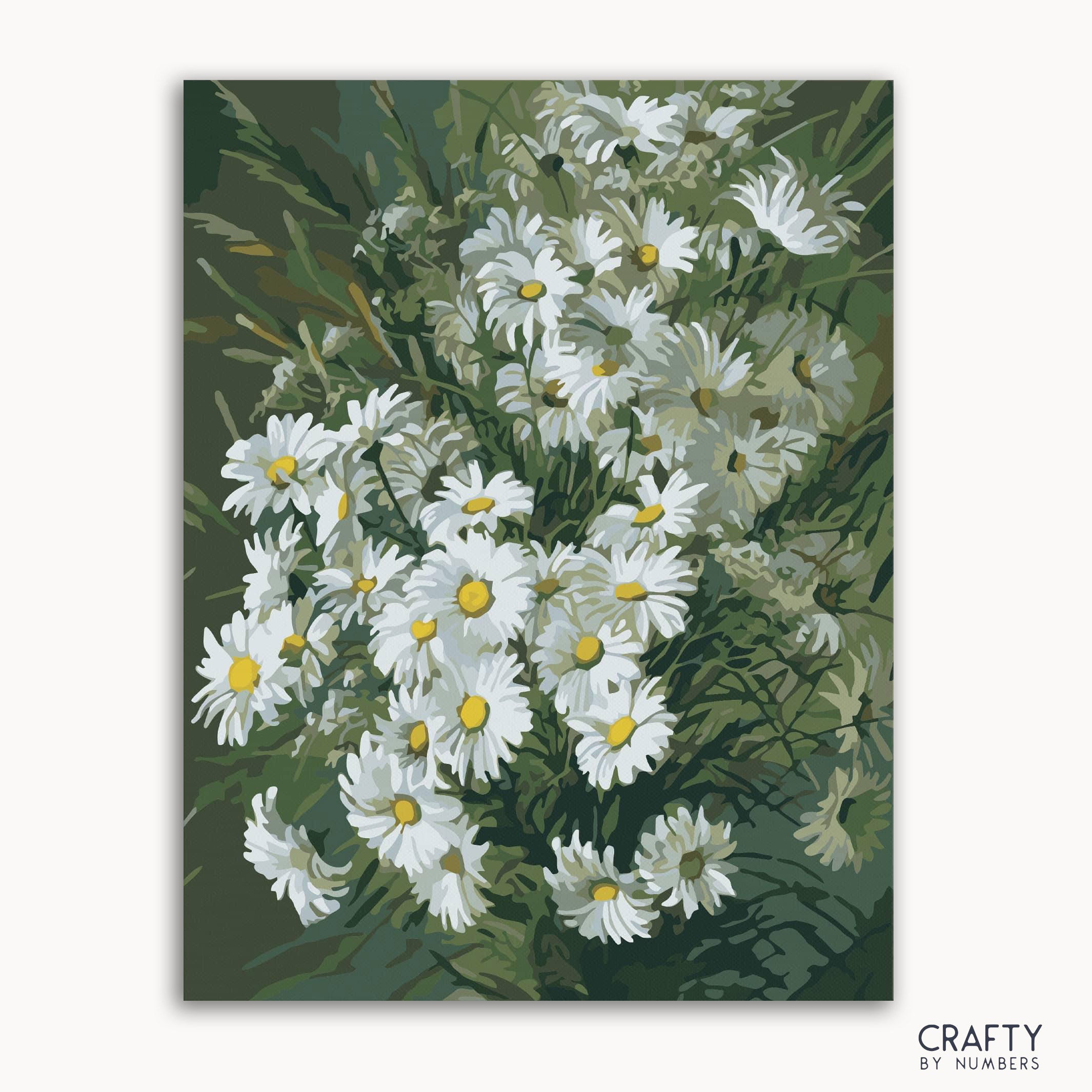 White Roses Daisies