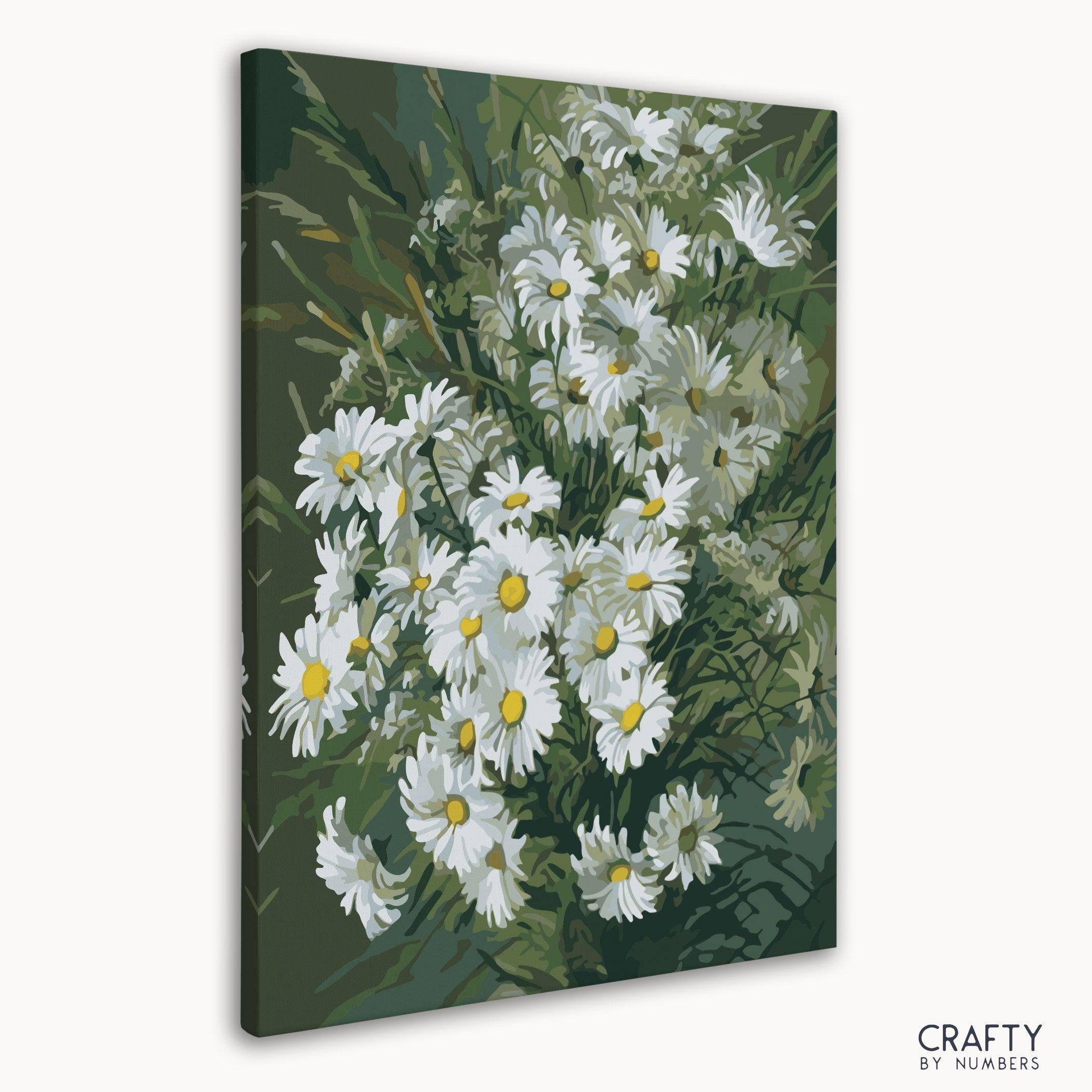 White Roses Daisies