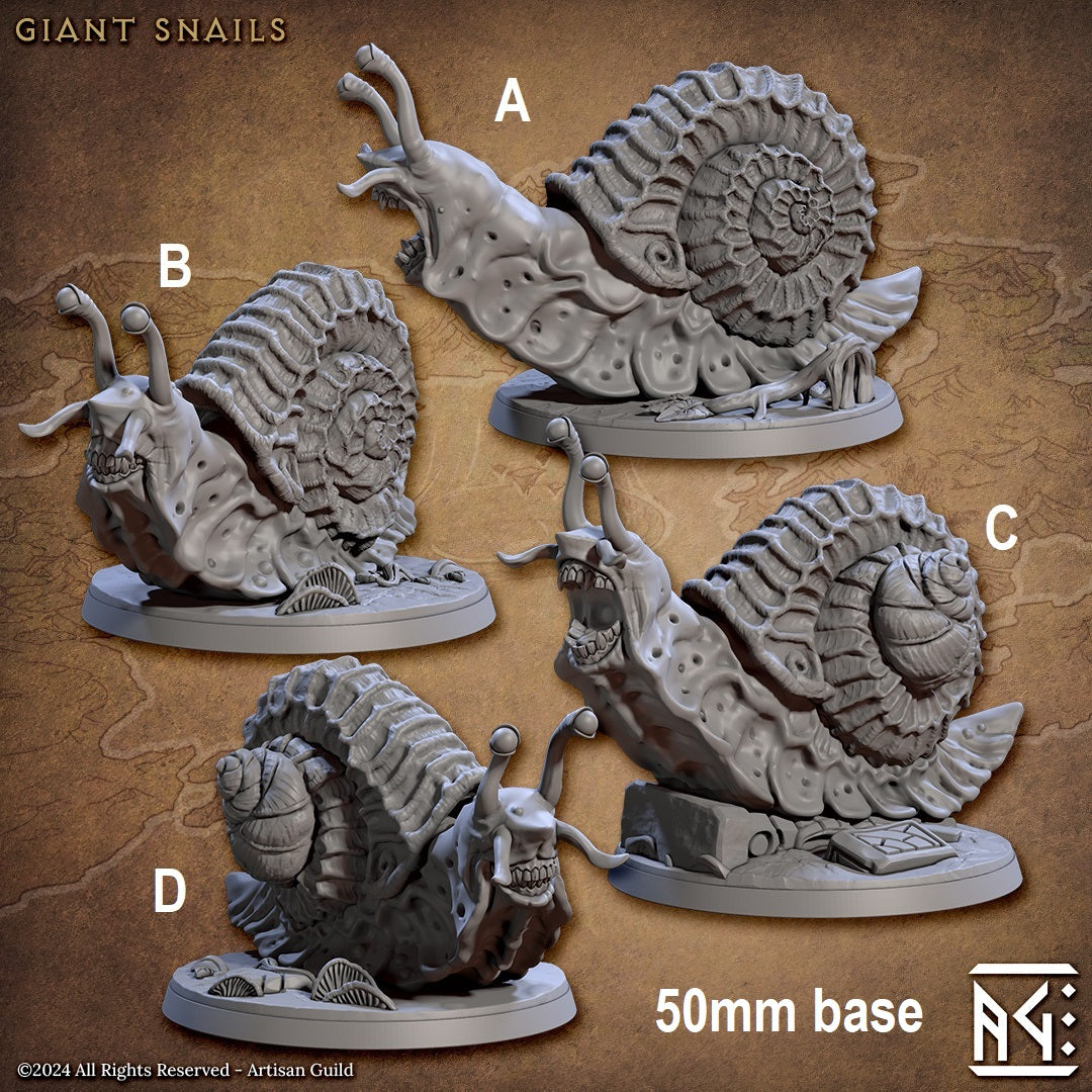 Wild Giant Snail