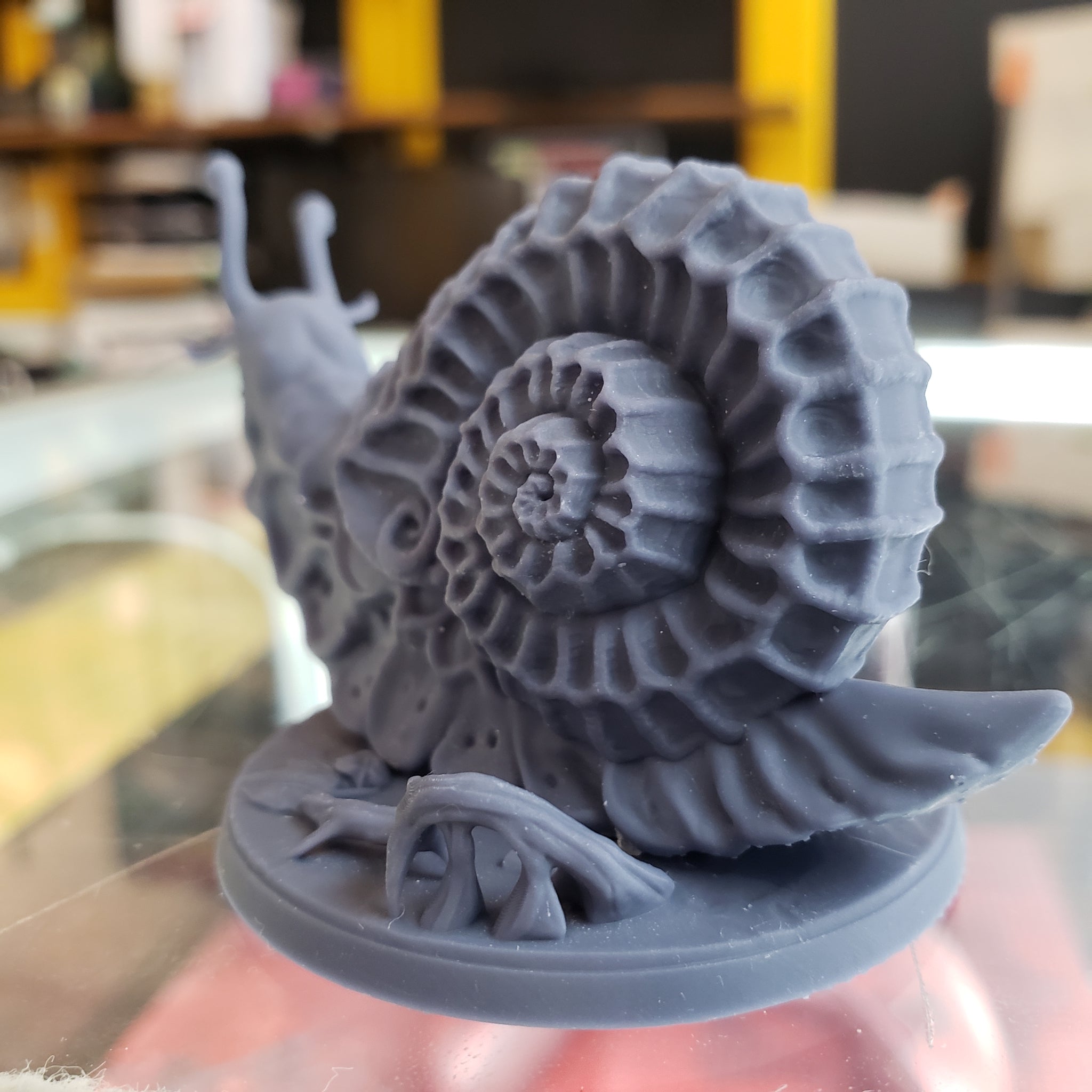 Wild Giant Snail
