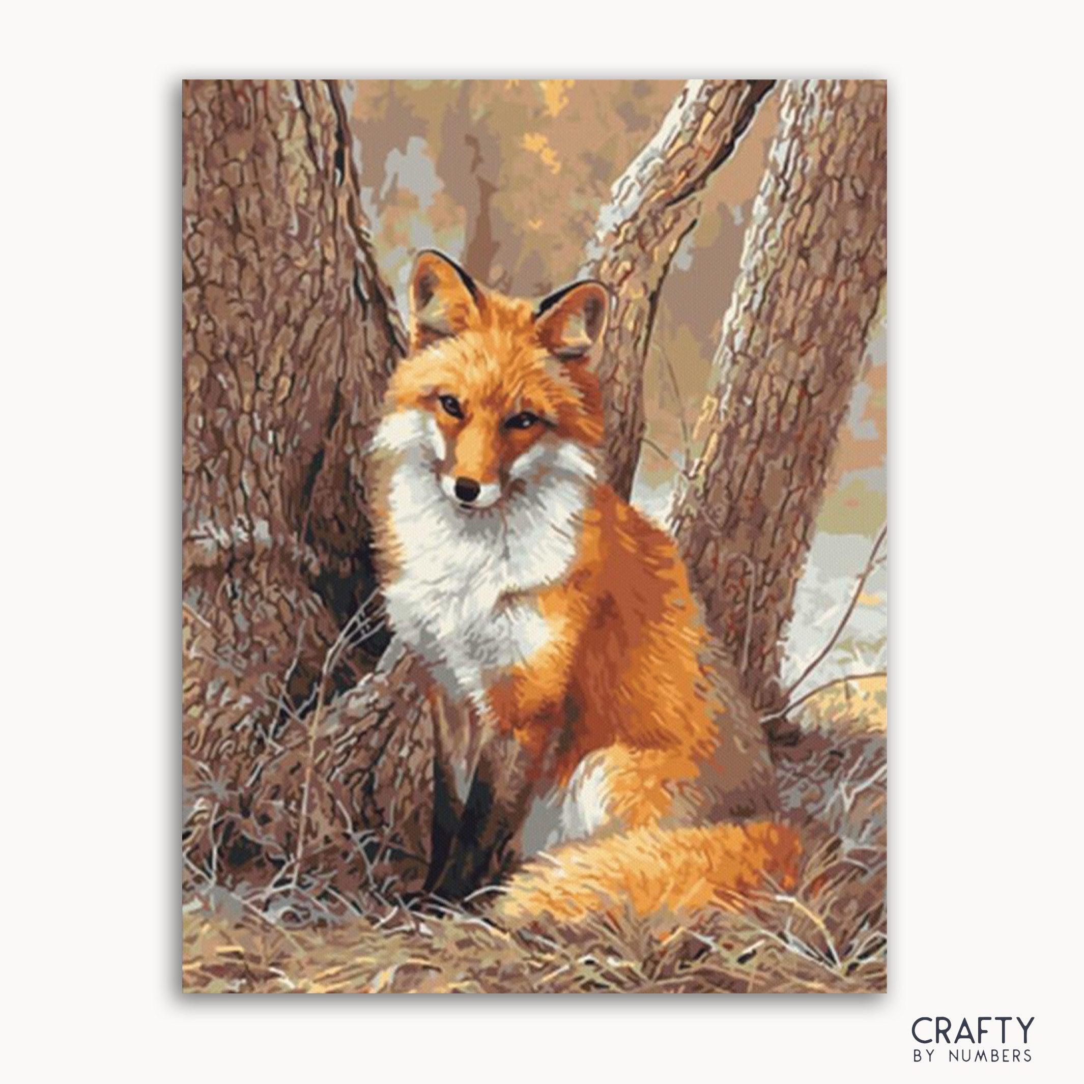 Wild Wolf Animal