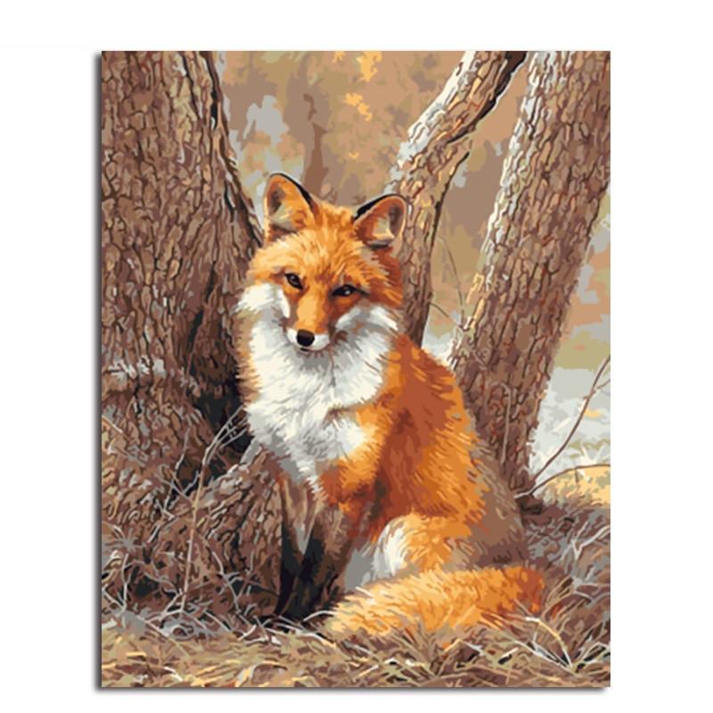 Wild Wolf Animal