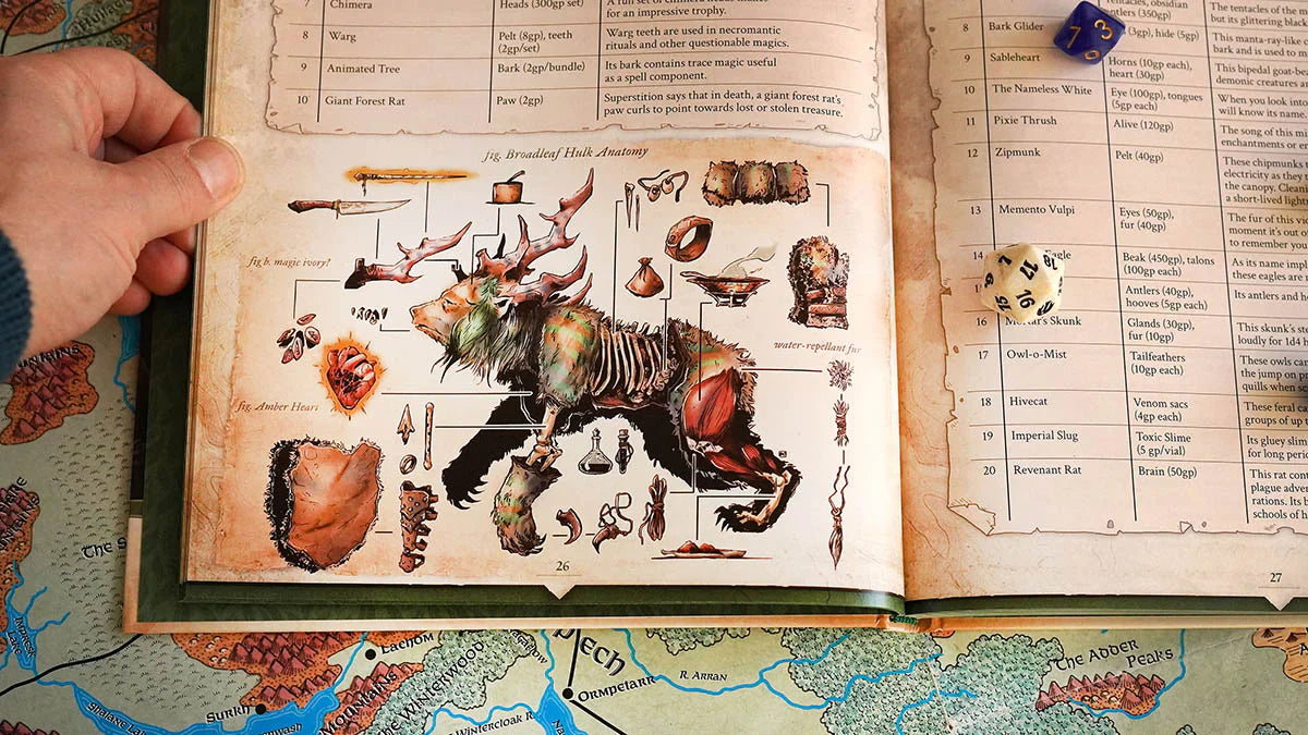 Wondrous Expeditions - Forests (Hardcover)