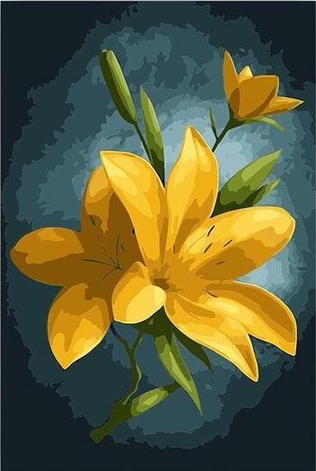 Yellow Flowers Lotus