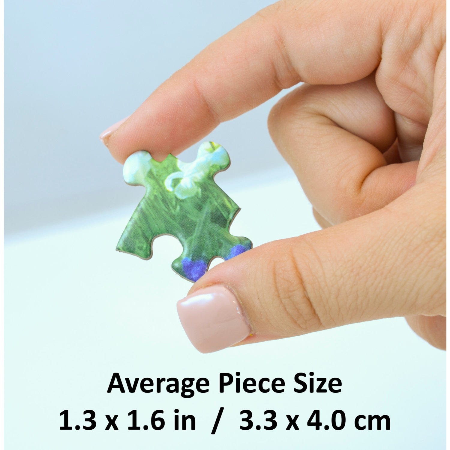The Curious Calf 550 pc